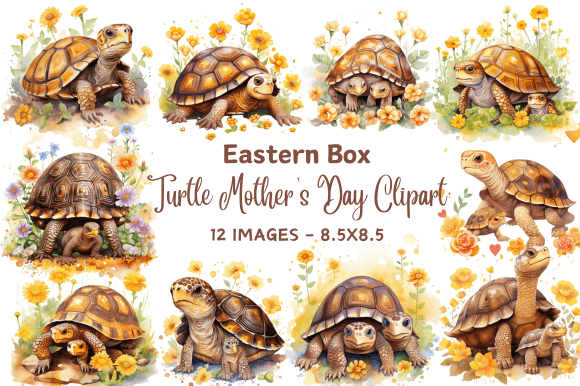 Download Eastern Box Turtle Mother's Day Clipart - Eastern Collection
